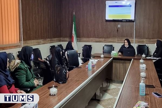 برگزاری کارگاه آموزشی برنامه سالمندان در شبکه بهداشت و  درمان اسلامشهر 